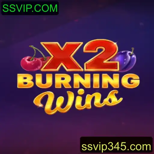 Explorando o Jogo de Cassino Online BurningWinsX2