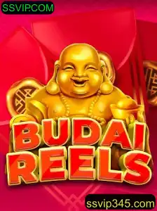 Descubra o Fascinante Mundo de BudaiReels com SSVIP.COM